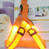 Flashing Light Up Safety Harness Collar